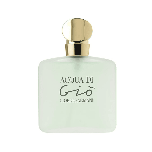 GIORGIO ARMANI Acqua di Gio para mujer 3.4 oz Eau de Toilett