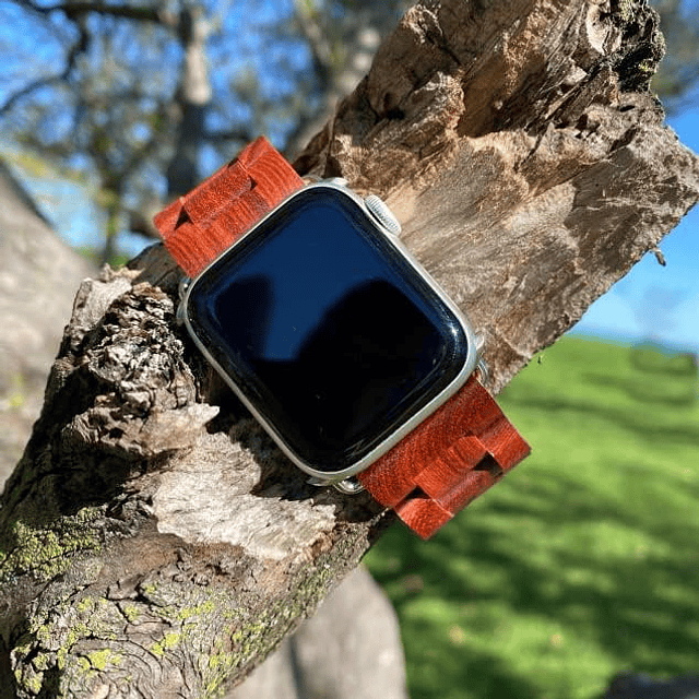 Correa de reloj inteligente de madera, compatible con Apple