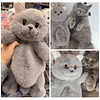 Animales de peluche de gato, lindo peluche de gato hecho a m