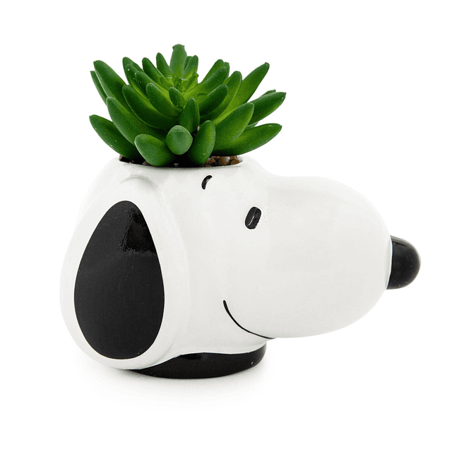 Mini macetero de cerámica con cara de Snoopy y suculenta art