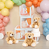 Bulk Teddy Bear Baby Shower, 10 paquetes de pequeños ositos