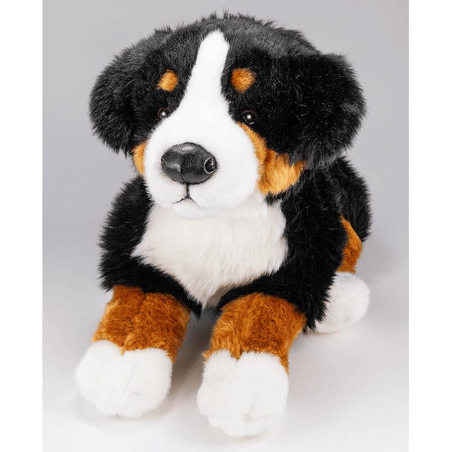 Perro de montaña de Berna, 16 pulgadas, 40 cm, peluche, pelu