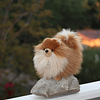 Animal de peluche realista Miyoni Pomeranian Detalle realis