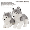 Animal de peluche de husky siberiano realista, juguete de pe