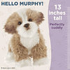 Bearington Murphy The Maltipoo Animal de peluche, peluche de