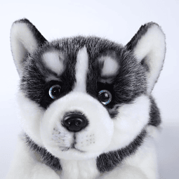 Simulación de animales de perro de peluche de husky siberian