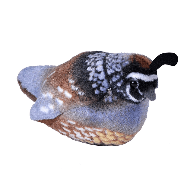 Wild Republic Audubon Birds California Codorniz de peluche c