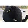 Juguete de peluche de gato negro con forma de gato creativo,