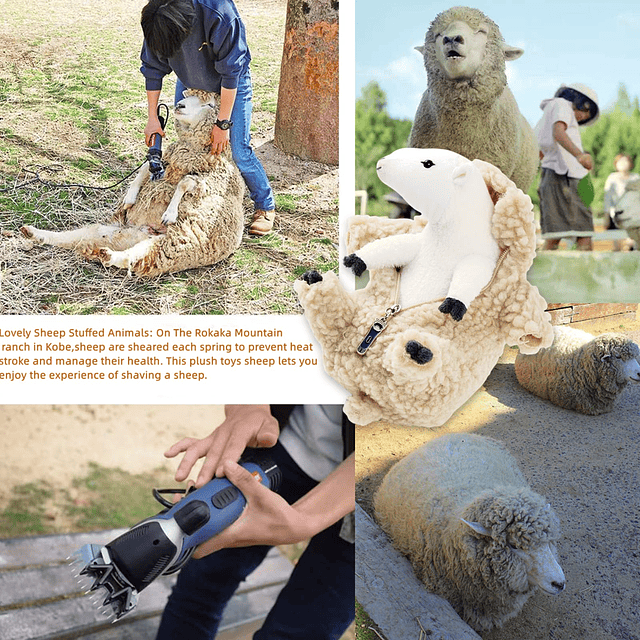 Animal de peluche de oveja afeitada, juguete de peluche de o