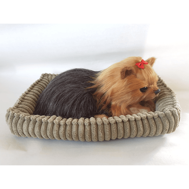 Perro Yorkshire Terrier, juguete interactivo para mascotas c