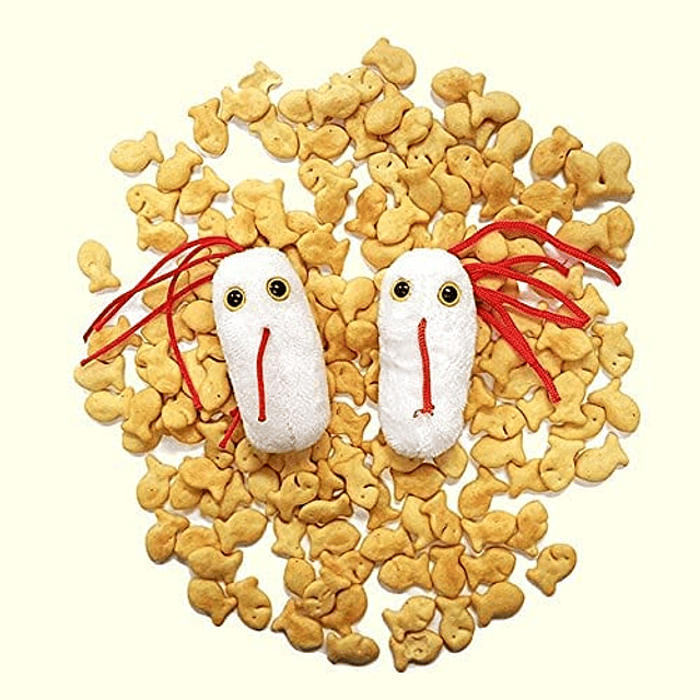 Peluche de Salmonella de GIANTmicrobes: aprenda sobre la seg