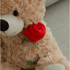 10 '' HoldingRose Little Bear Animales de peluche Juguete de