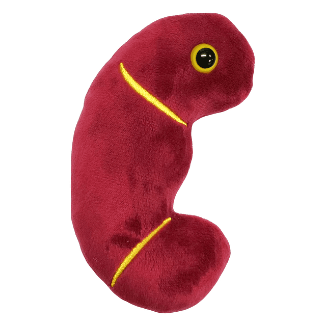 Peluche de riñón de Giantmicrobes, peluche de riñón, regalos