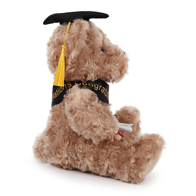 2024 Regalos de graduación Oso de peluche Peluche de peluche