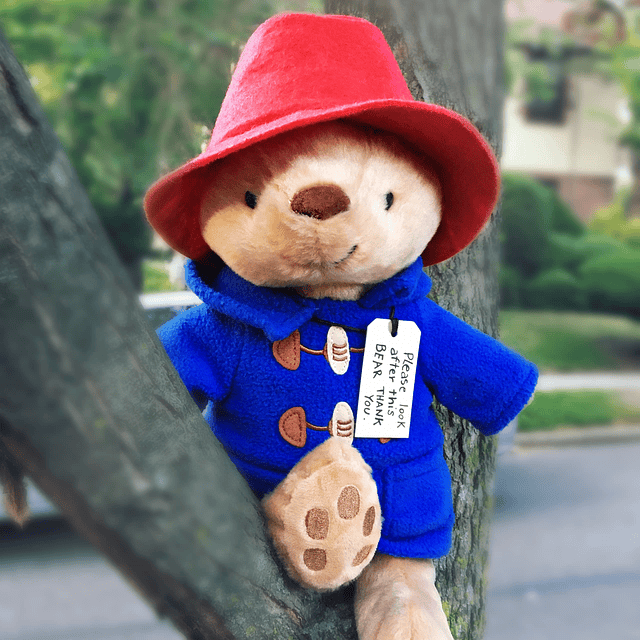 Colección Paddington Bear/Oso Paddington sentado clásico, pe