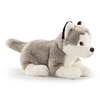 Animales de peluche de perro, animal de peluche de Husky, pe