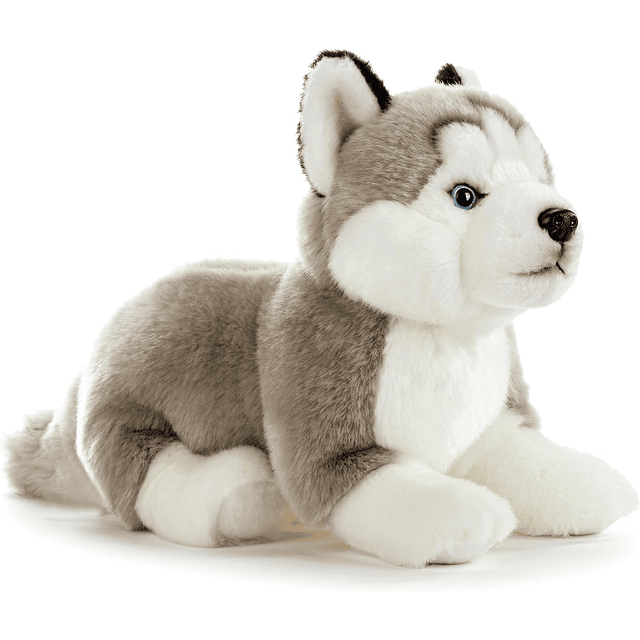 Animales de peluche de perro, animal de peluche de Husky, pe