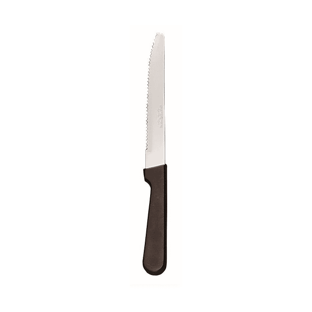 S/S - Cuchillo para carne con punta redonda de 9" y mango de