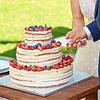 50 cortadores de pastel desechables de plástico de 9,1 pulga