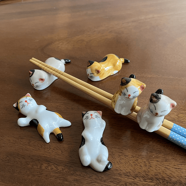 Juego de Regalo de Palillos de bambú de Estilo japonés, 5 Pa