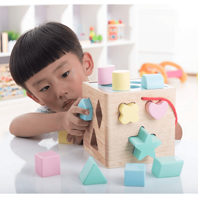 Shape Sorter Juguete para niños pequeños Juguete de madera c