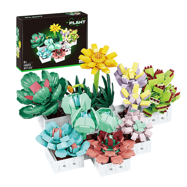 Juego de flores suculentas para adultos, 977 piezas, juego c