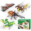 Juego de bloques de construcción de colección de insectos pa