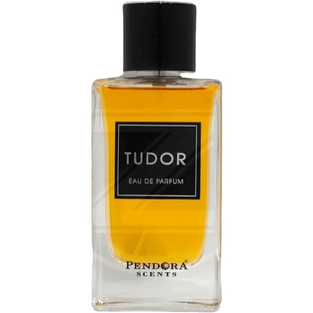 Perfume para hombre Paris Corner TUDOR 3.4 Fl Oz EDP Perfume