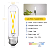 Bombilla LED regulable T10 luz blanca diurna 5000 K, bombill