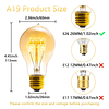 Bombillas Edison, A19, paquete de 6, regulable 120 V 40 W, c