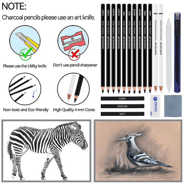 Juego de dibujo de carbón, 19 piezas, lápices de carbón blan