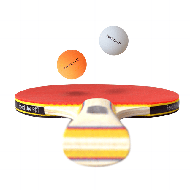 Juego de paletas de ping pong – Raqueta de tenis de mesa pro