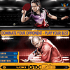 Juego de 2 palas de ping pong - Raquetas de fibra de carbono