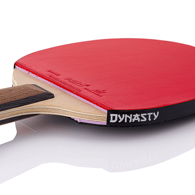 Raqueta y estuche de tenis de mesa Dynasty Extra Penhold, go