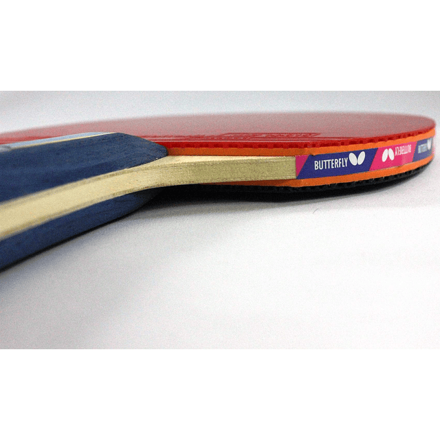 Raqueta de tenis de mesa B501FL Shakehand | Serie China | Ju