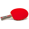 Ping Pong Paddle - Raqueta de tenis de mesa de alto rendimie