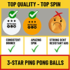 IntegraFun Pro Juego de paletas de ping pong con red de ping