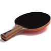 Jet 800 Speed ​​N2 - Una pala de ping pong de grado profesio