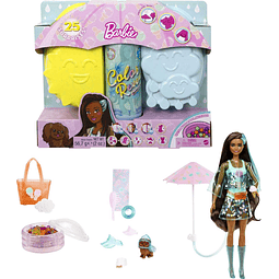 Muñeca Color Reveal Sunshine and Sprinkles y accesorios con