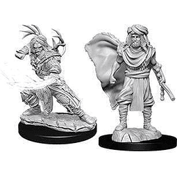 Maravillosas miniaturas de D&D Nolzur druida humano masculin