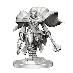 Maravillosas miniaturas de D&D Nolzur Aasimar Cleric Male