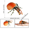 4 Piezas Figuras de Cangrejo ermitaño Modelo de Cangrejo Rea