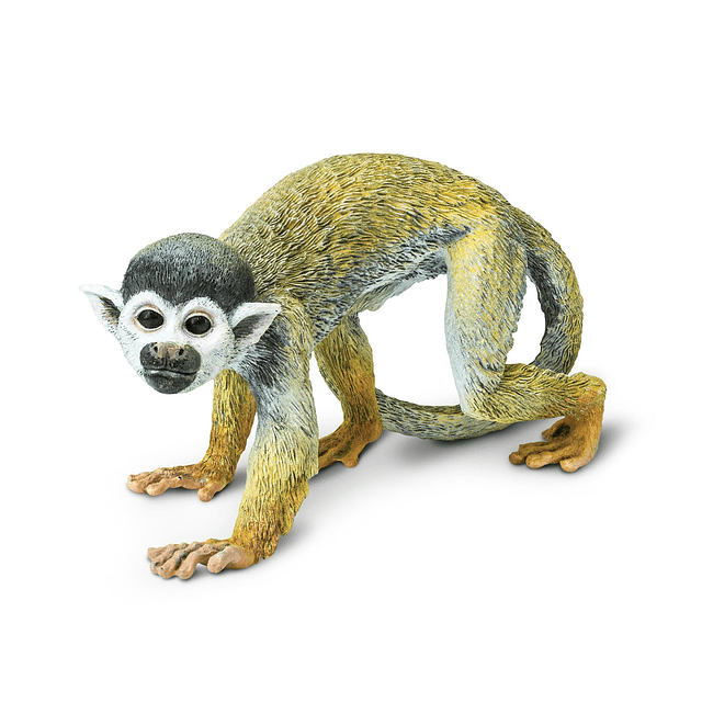 Figura de mono ardilla – Figura modelo de plástico detallada