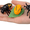 Insectos Animales Figuras de juguete, juego de ciclo de vida