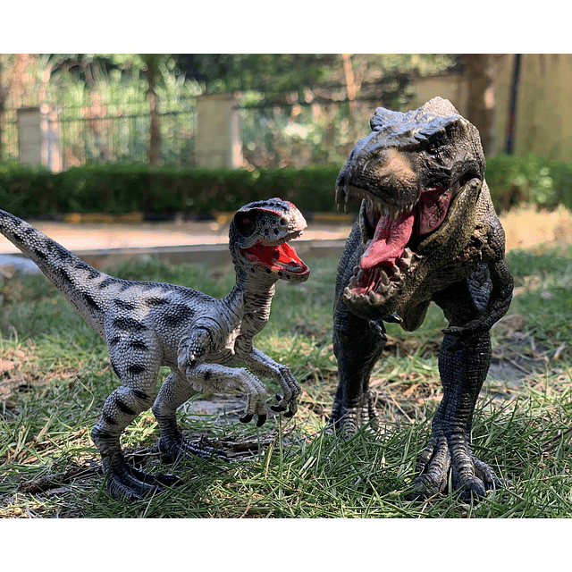 Juego de Tyrannosaurus Rex y Velociraptor con mandíbula móvi