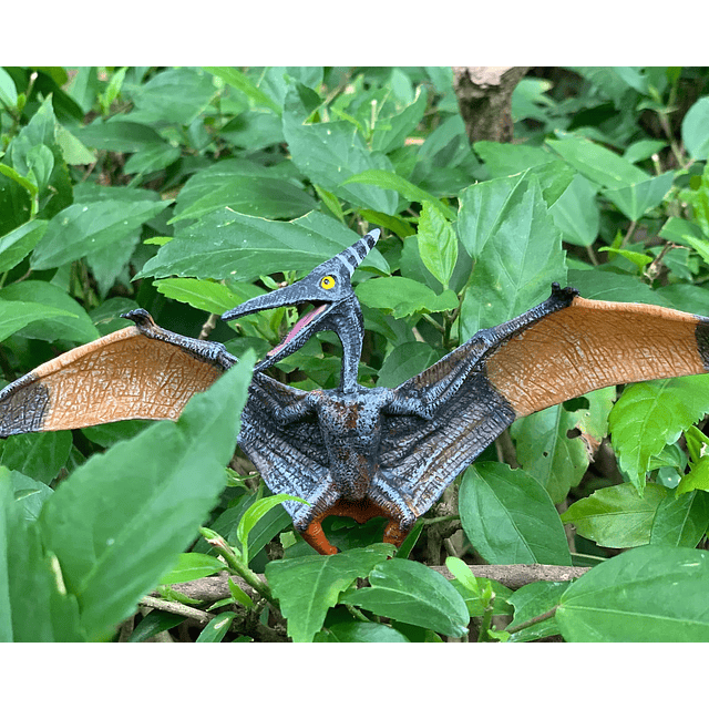 Juguetes de dinosaurio pterodáctilo, estatuilla de dinosauri