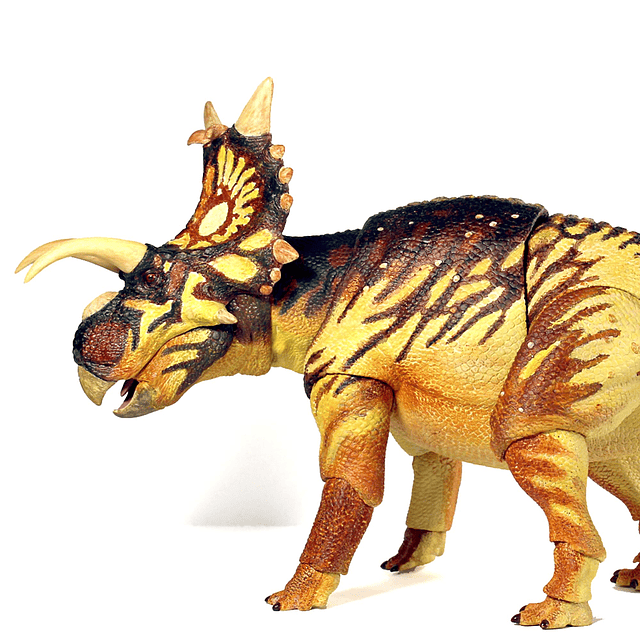 s Beasts of The Mesozoic: Ceratopsian Series Xenoceratops Fi