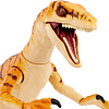 Jurassic World Toys Amber Collection Tiger Velociraptor Figu