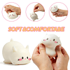 Squishy Bolas de estrés para gatos, lindos juguetes blandos