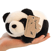 Squishy Peluche Oso Panda Bebé Niña Regalos Panda Juguetes 6